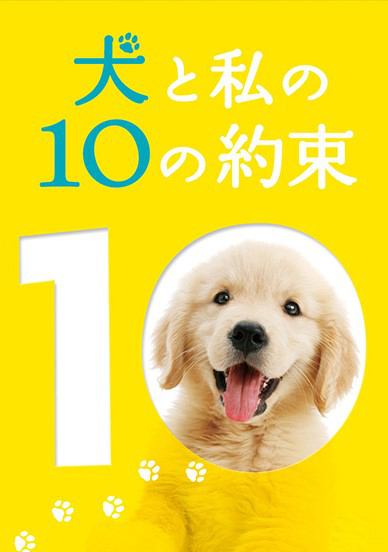 犬と私の10の約束