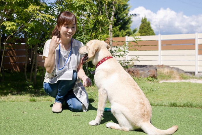 犬と一緒に遊ぶ女性