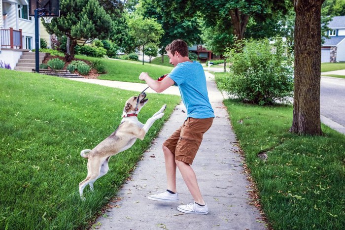 男性にむかってとぶ犬