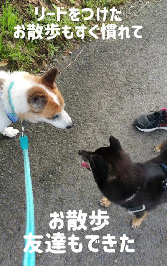 お友達がたくさんに！