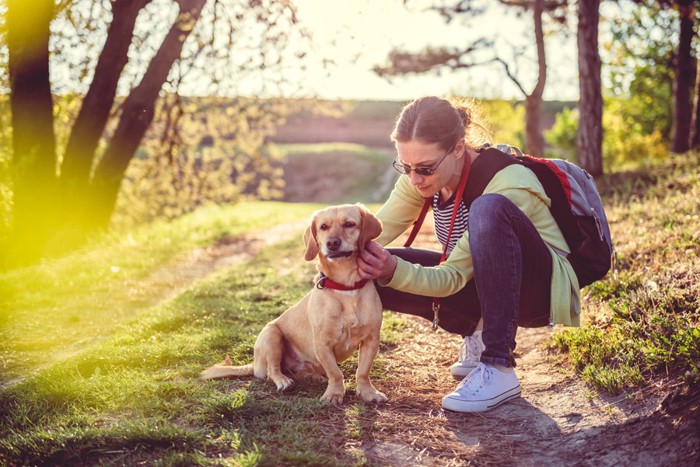 犬の耳を診る女性