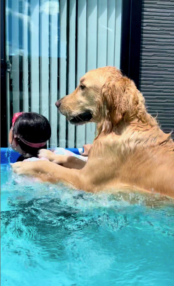 子供の肩に手を置く犬