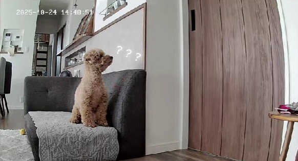 「もしかして…」