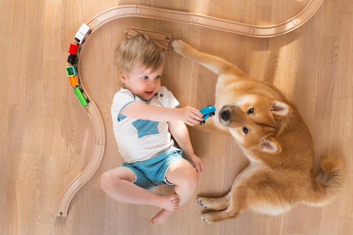 一緒に遊ぶ男の子と柴犬