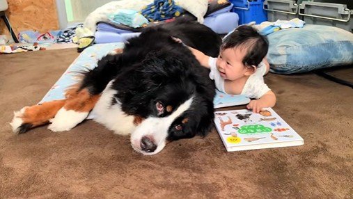 仲良く寄り添う姿が尊い♪