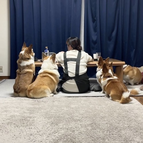 いつでも一緒