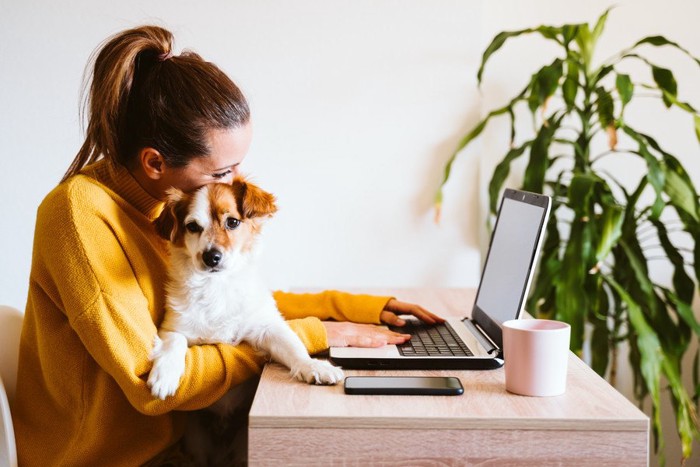 犬を抱っこしながら仕事をする女性