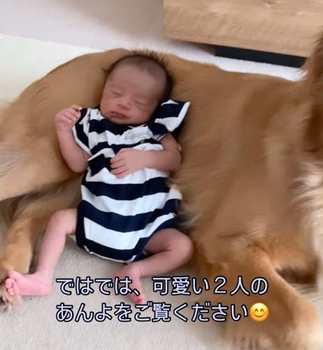 眠る赤ちゃん