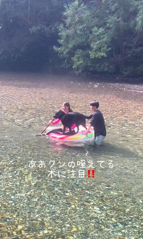 浮き輪に乗って遊ぶあお君