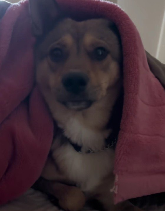 「もう…朝…？」