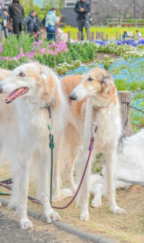 みんなで写真を撮ってみたら…