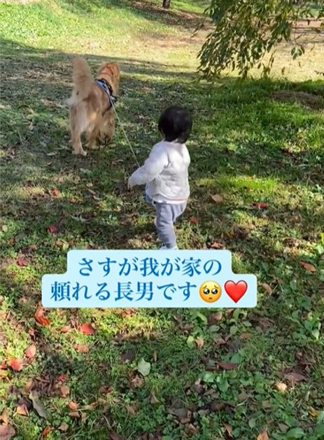 歩く男の子と犬2