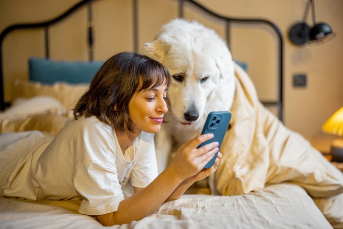 スマホの画面をのぞき込む女性と大型犬