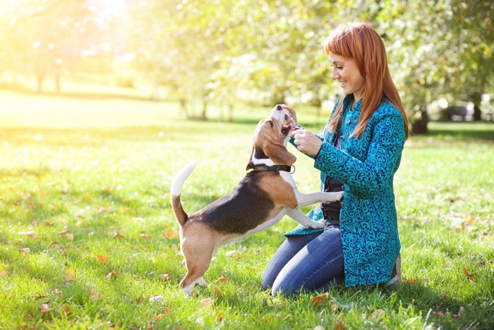 女性に足を上げる犬