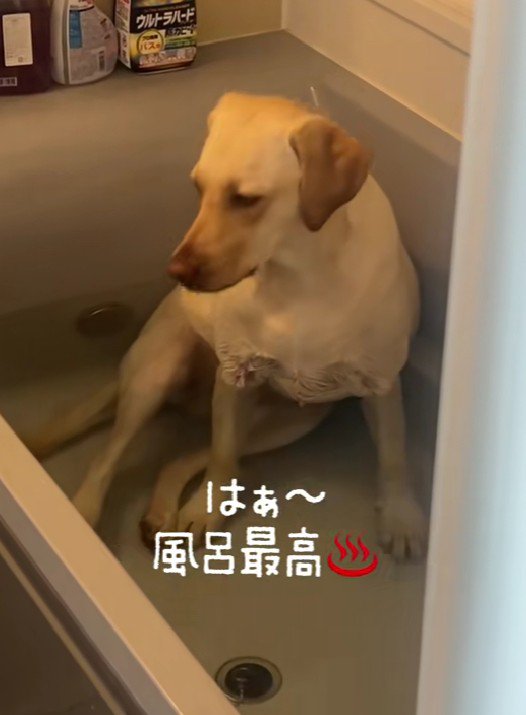 「風呂は最高だな～」