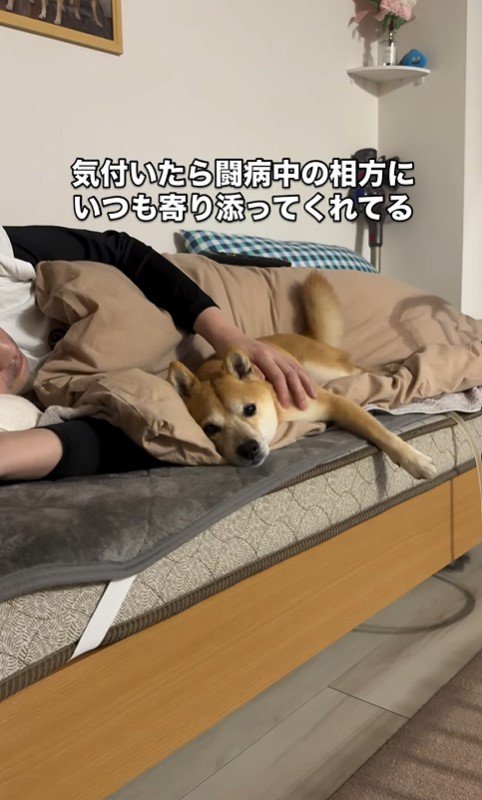 闘病中のパパさんに寄り添うたもつ君＆たら君2