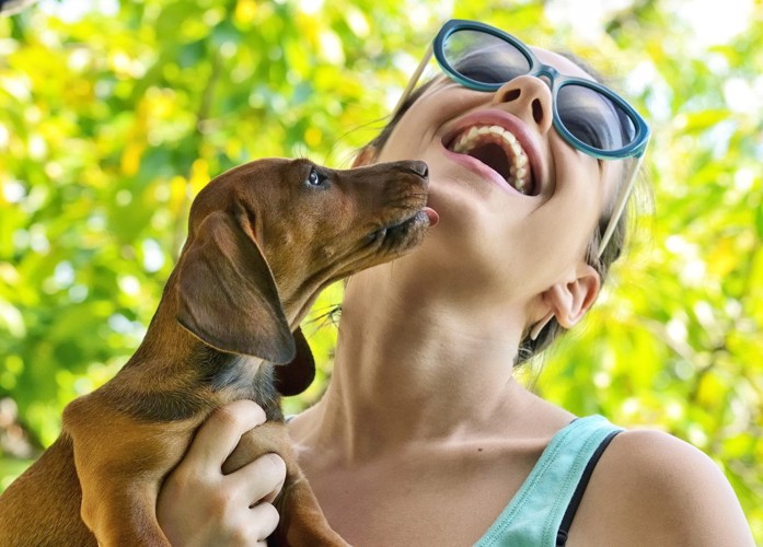 女性を舐める犬