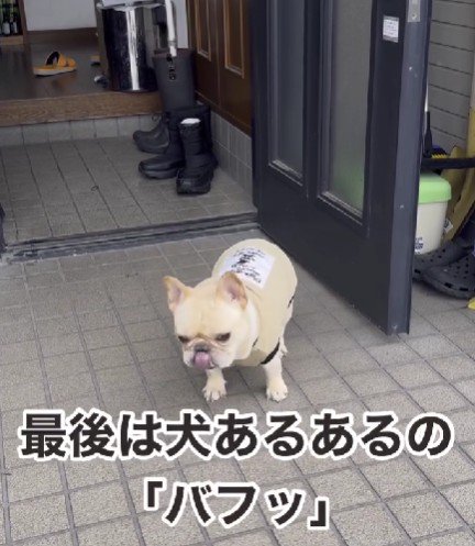 可愛すぎる地団駄でした♡