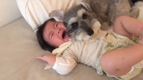 赤ちゃんを枕にするトトちゃん8