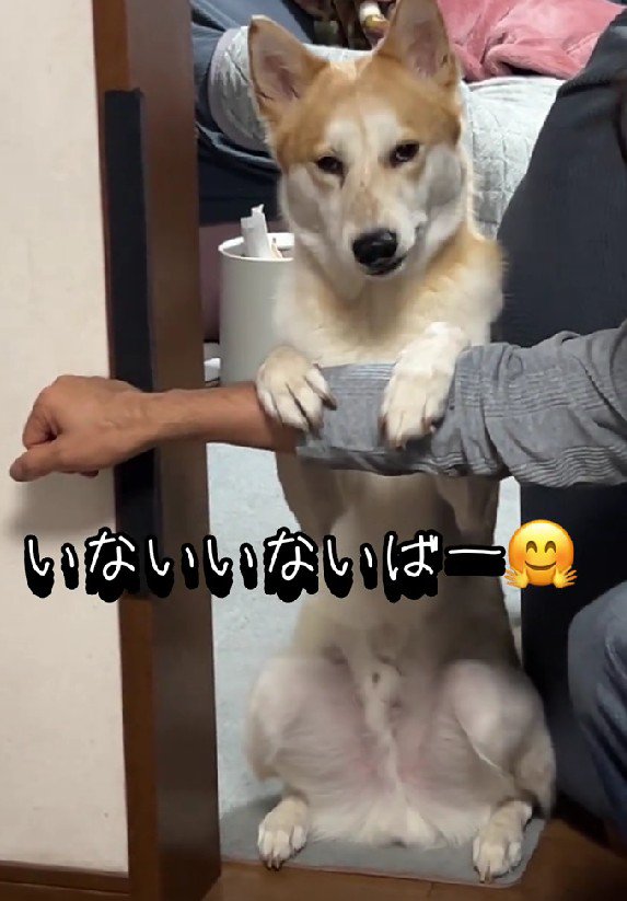え…イケメン…！