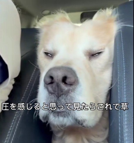 翔さんがハマってる!!