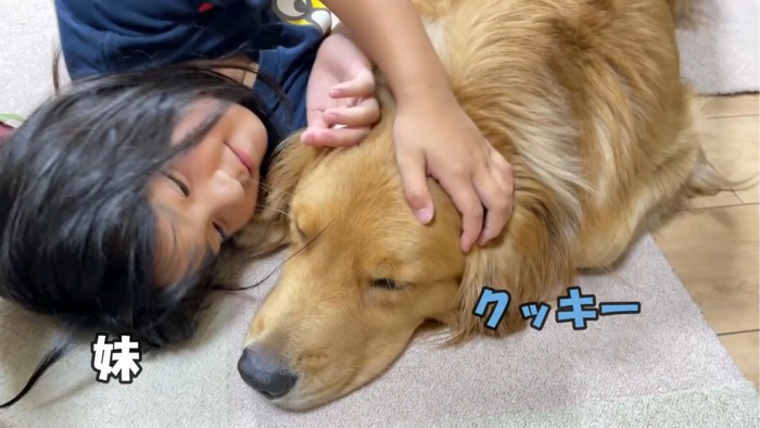 抱きしめられる犬