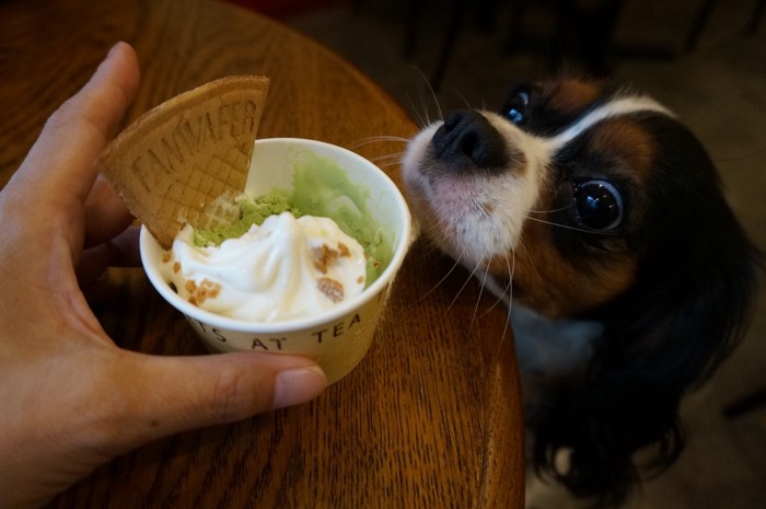 ミニサンデー食べかけ