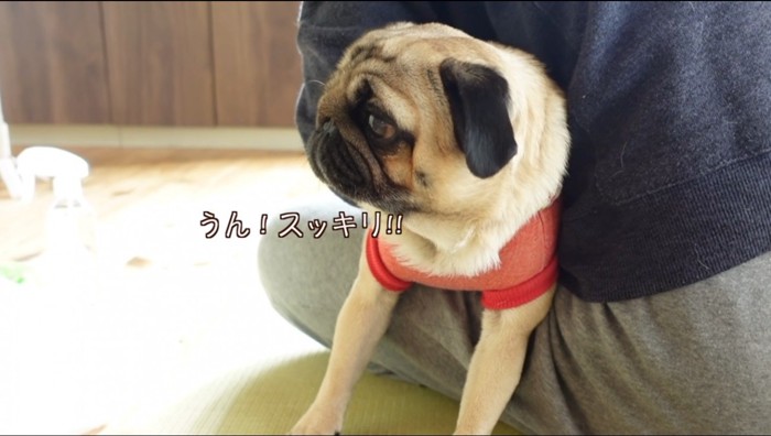 男性に抱えられる犬