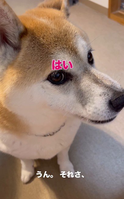 場所と品を変えてみたら？