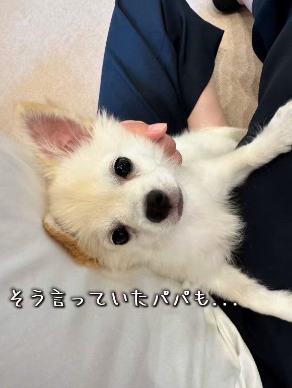 カメラ目線のソラくん