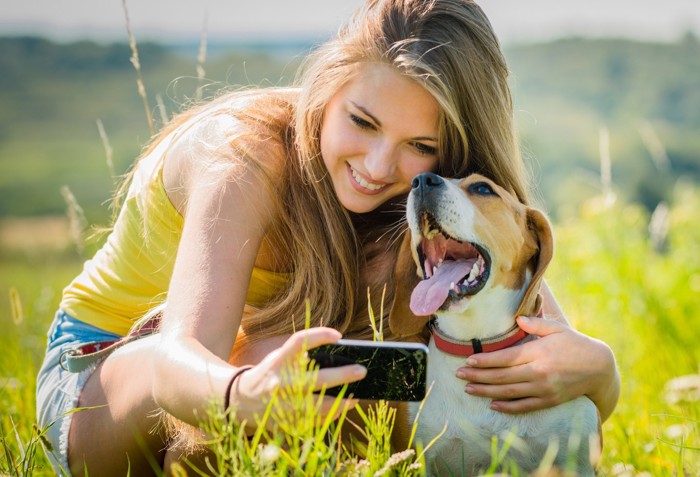 犬とスマホ