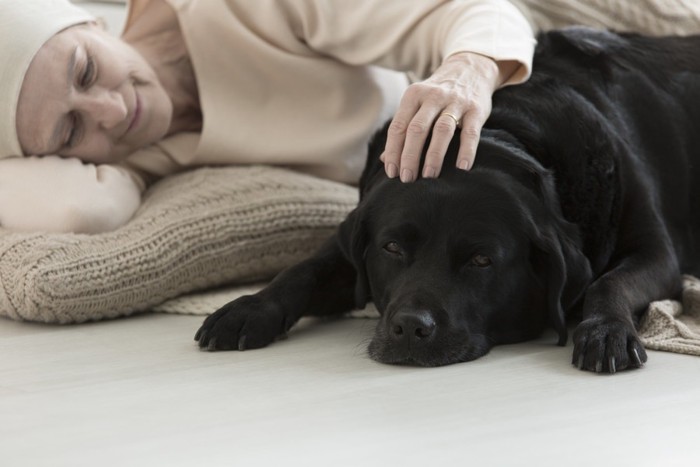 病気の女性と犬