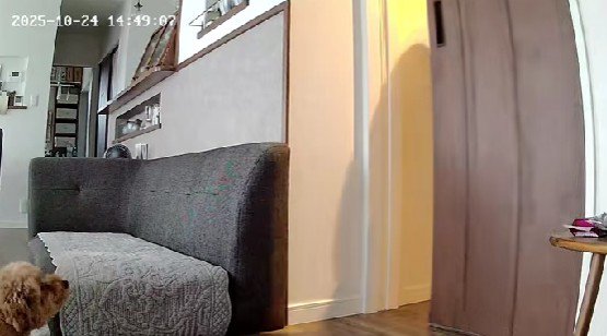 「絶対にそうだ!!」