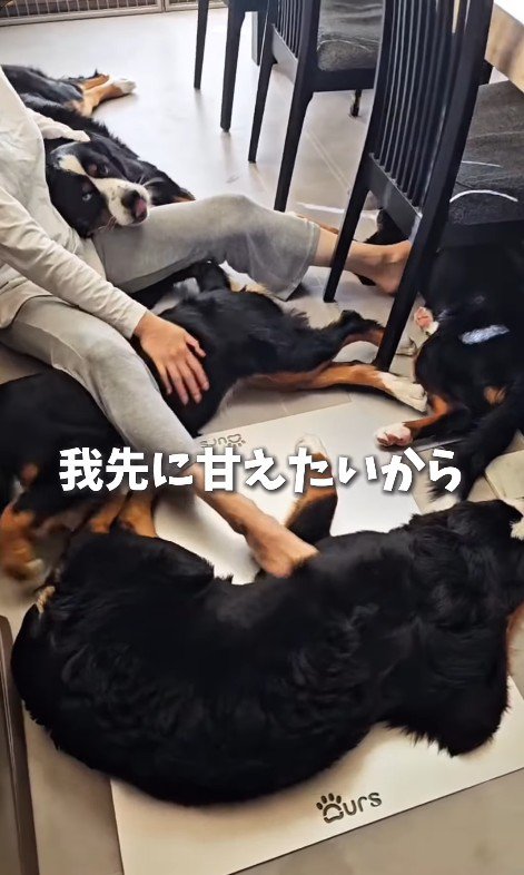 4本の手足を駆使してナデナデ…