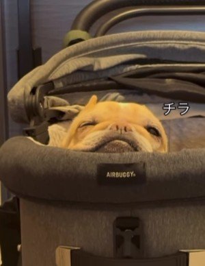 優しさあふれるプー太郎くんでした♡