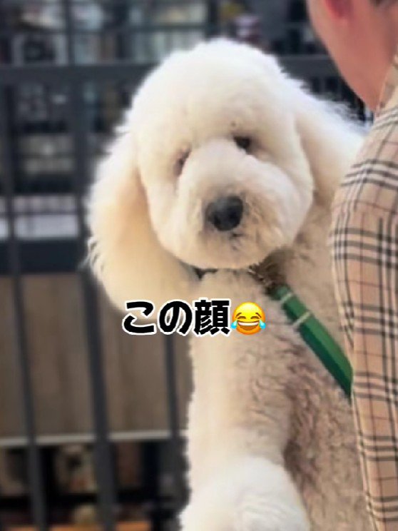 「うむうむ…」