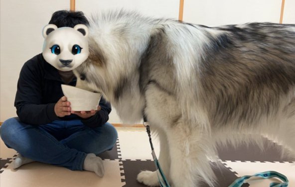 モフモフ