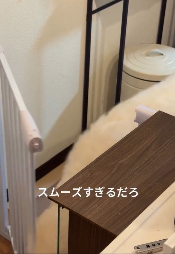 侵入するソラくん