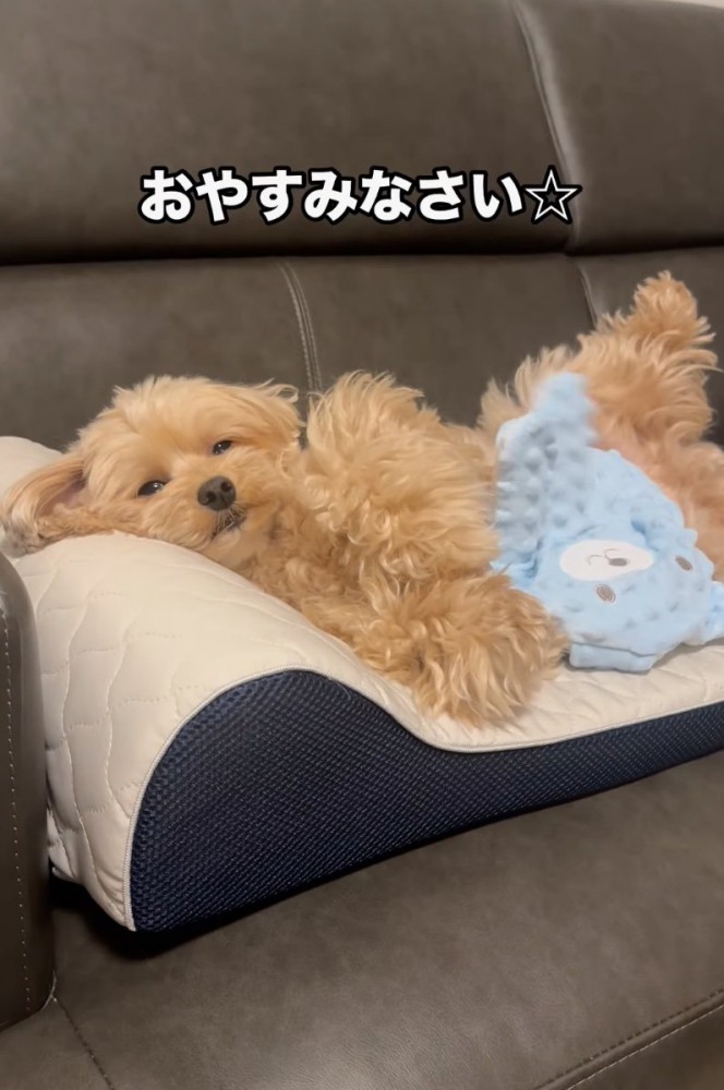 入眠
