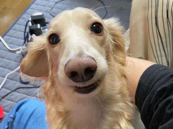 普段はこんなに素敵だよ