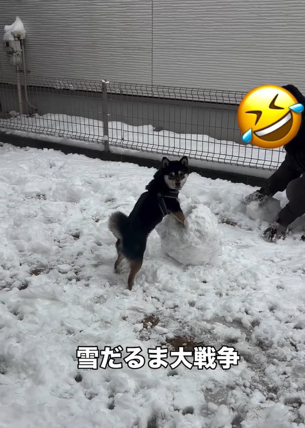 カメラ目線の千幸ちゃん