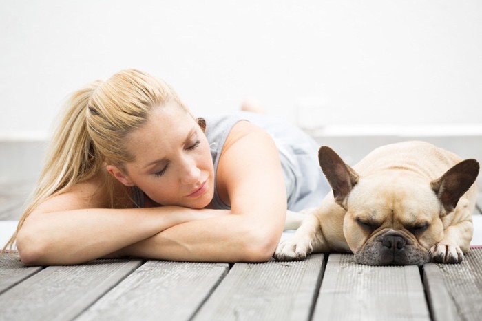 犬と女性