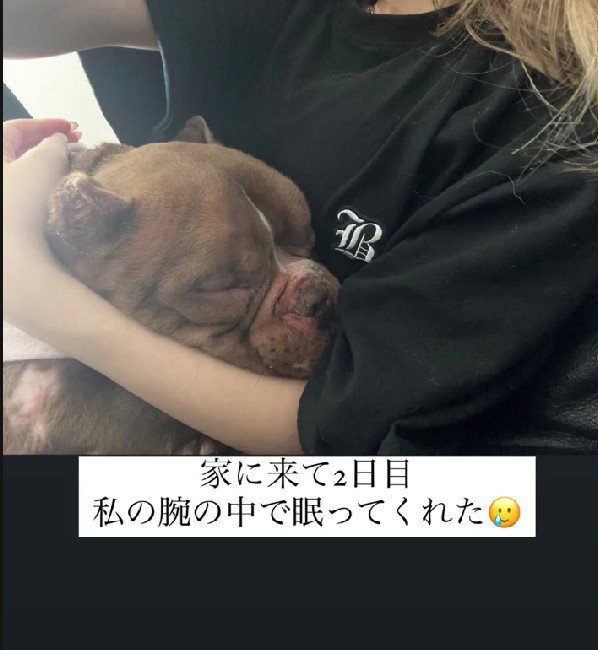 とっても甘えん坊