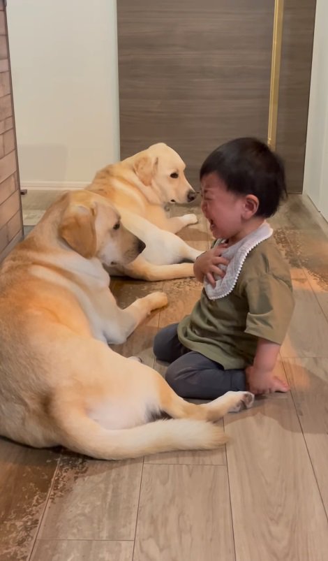 奥の花ちゃんも気まずそう