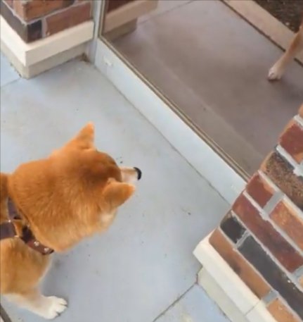 まさかの