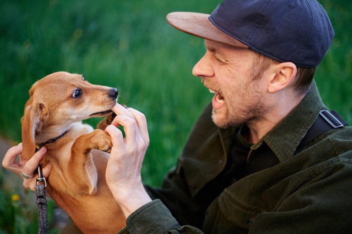 犬に指を噛まれて叫ぶ男性