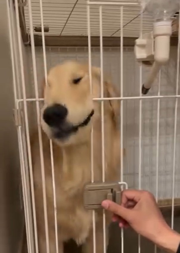 また挟まれるかやちゃん