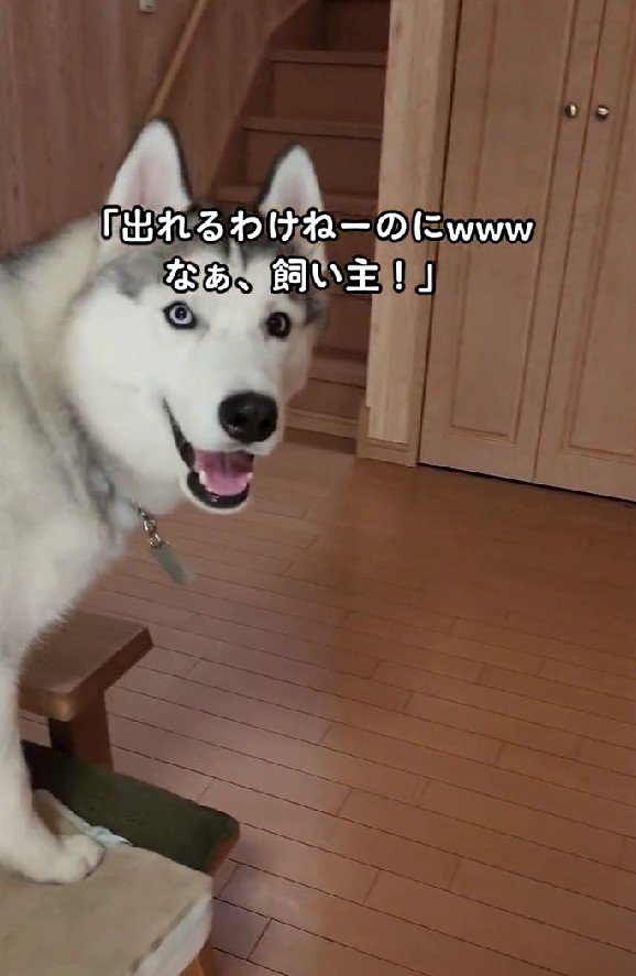 「出られるわけないのに！」