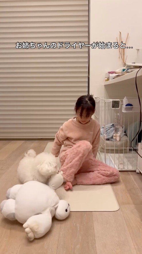 女の子と見つめ合うぬいぐるみを咥えた犬