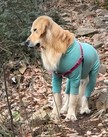 心配そうに見つめるルッツくん